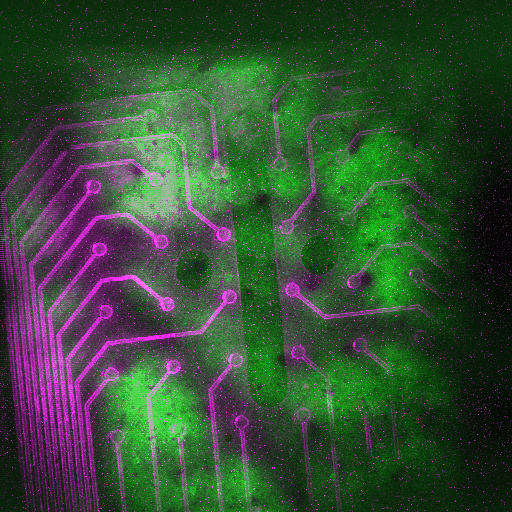 2P imaging of neurons through the transparent NeuroGrid