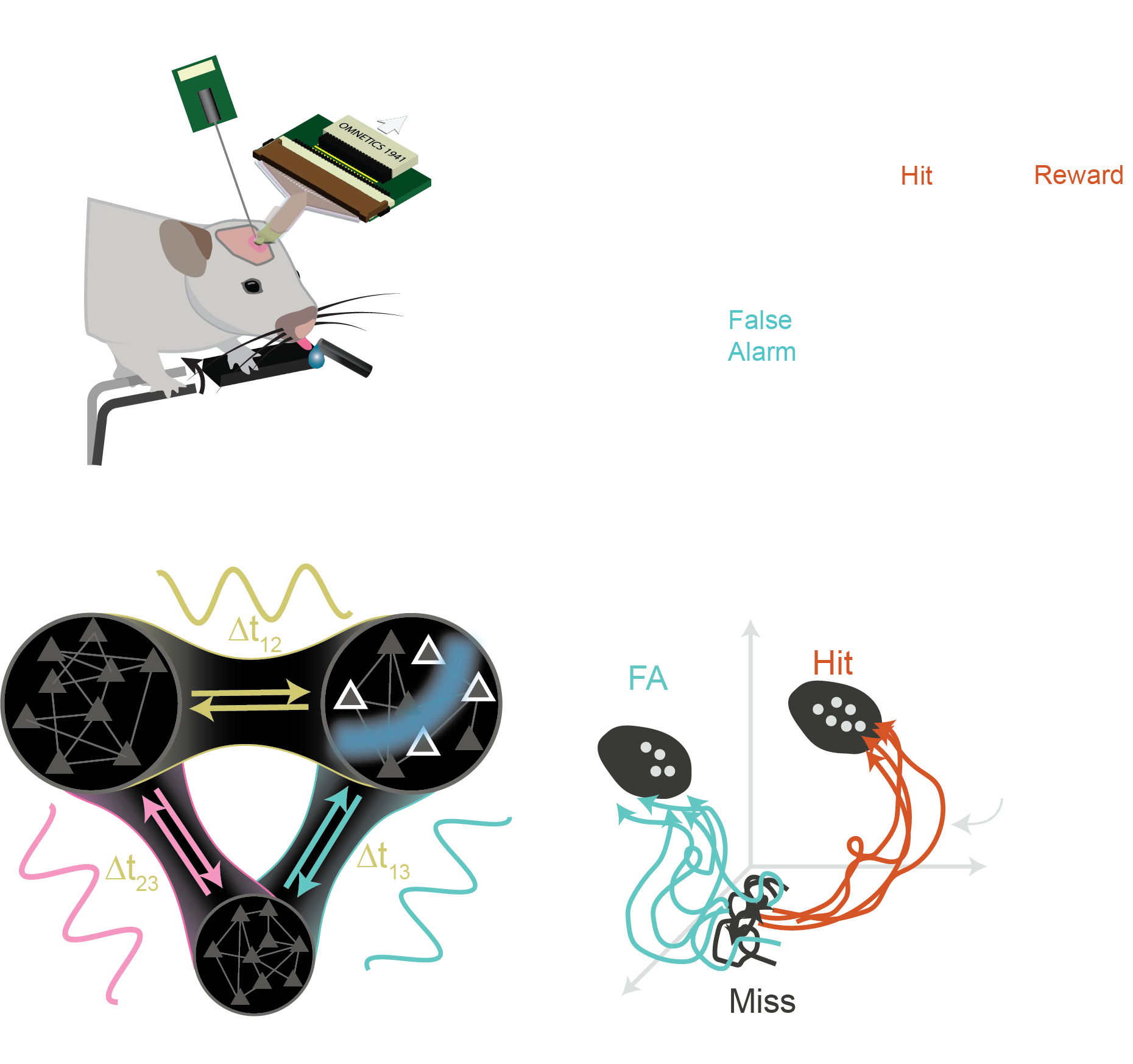 Mechanisms underlying reliable motor output
