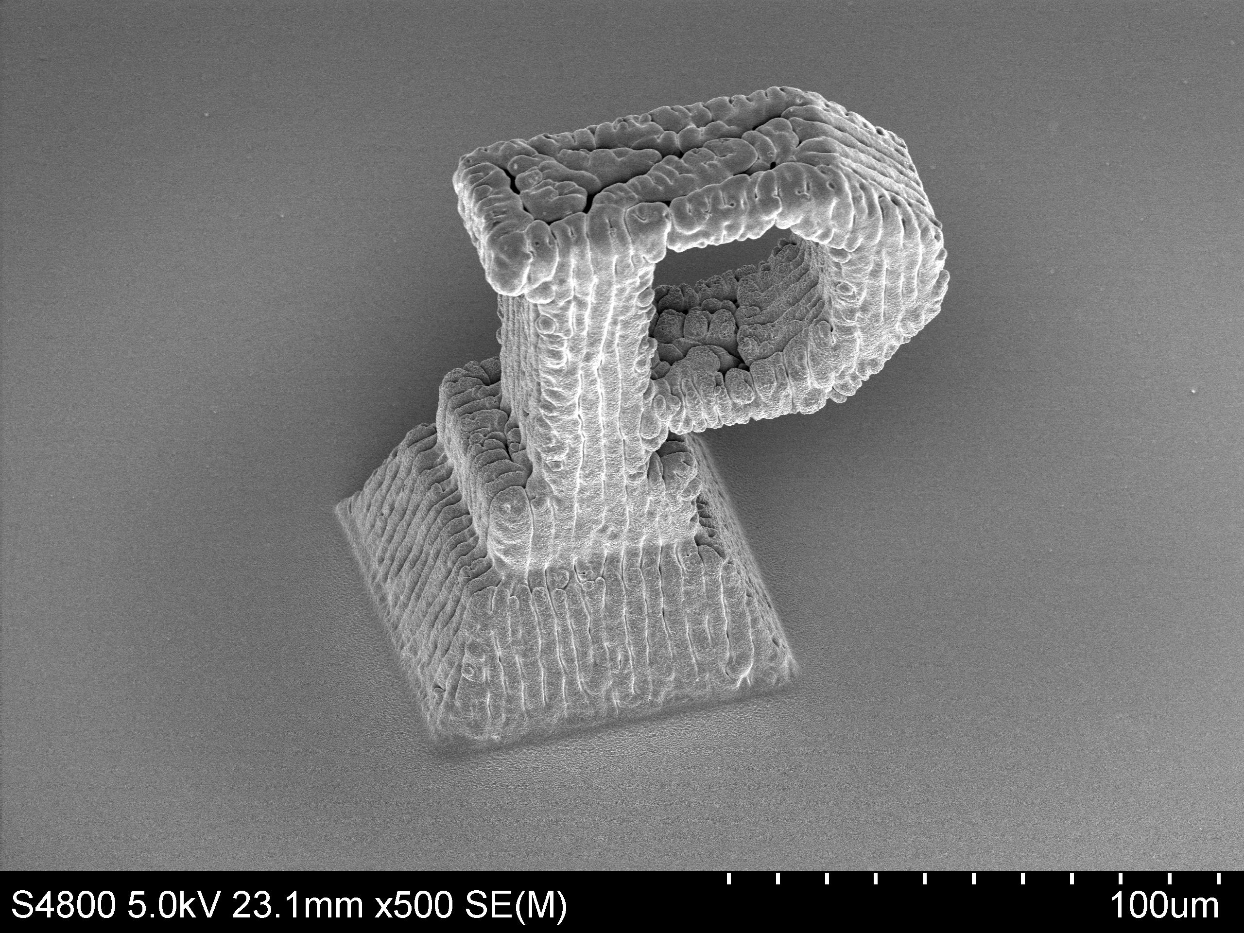 Microscopic 3D printed Purdue Logo